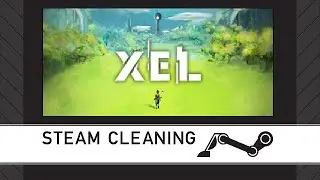Steam Cleaning - XEL
