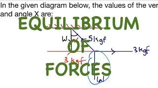 JAMB Question on equilibrium of FORCES