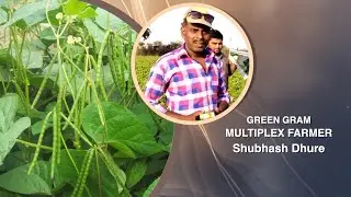 #MultiplexFarmer Shubash Dhure Reviewing Multiplex Kranti