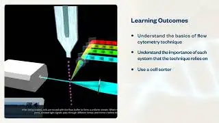 FACS | Virtual Lab