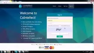 Cointellect: регистрация и установка coin miner