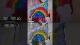 How do those with colour blindness perceive the Festa dos Tabuleiros?#Shorts#ColourBlind#ColorBlind