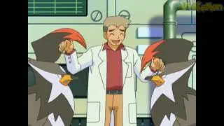 Staraptor attacks Professor Oak | Professor Oak Funny Moments