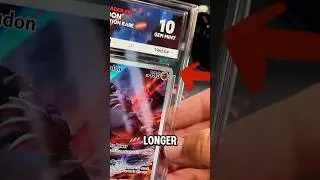 У Ace Grading есть новый случай для карточек Pokemon!