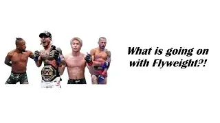 The Current State of the UFC's Flyweight Division