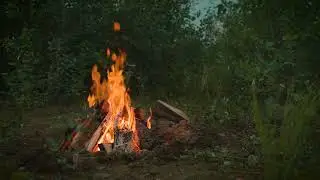 Evening Campfire in Alaska | Crackling Fire in the Susitna Forest