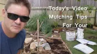 How to Mulch A Backyard Vegetable Patch With Marty Ware