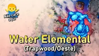 Tibia | Water Elemental (Trapwood/Oeste)