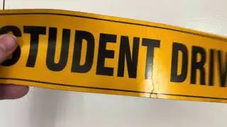 Review of Student Driver Magnet for Car - Large 12