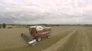 Harvest15: Laverda Combine harvesting winter Barley in Shropshire 2015