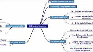 Qi Blood Relationship