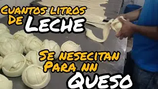 Queso hecho 100 por ciento de Leche