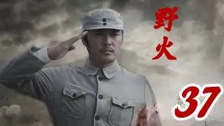 野火 第37集（趙達、姜寒、倪大紅等主演）