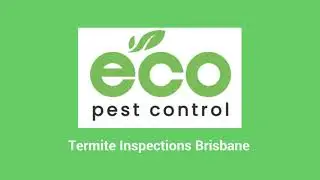 Termite Inspections Brisbane I Eco Pest Control
