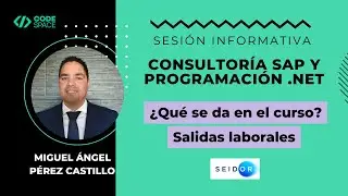 Curso Consultor&iacute;a SAP + Programaci&oacute;n - &iquest;En qu&eacute; consiste?