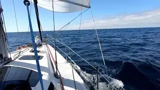 Hunter 40.5 PTERRIDAE Sailing