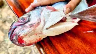 fishe big  cooking in food @arsprimitivecooking fish big @arsprimitivecooking @SurvivalCookingTV