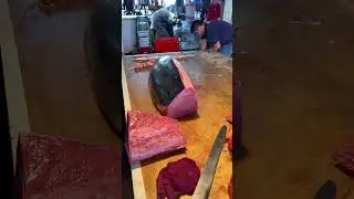 Masterful Cut! Extracting Huge Akami from a Monster Bluefin Tuna! #bluefintuna #akami #Sashimi hd