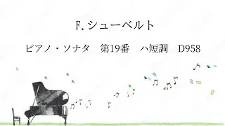 F.シューベルト／ピアノ・ソナタ　第19番　ハ短調　第1楽章  D 958