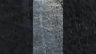 V&aring;lnad - Requiem (f&ouml;r alltid nu)