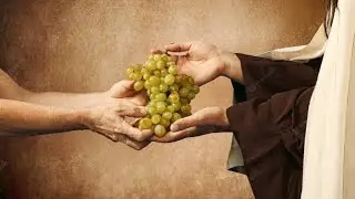 Father's Advice to Son | Moral Lesson | Urdu/Hindi Story