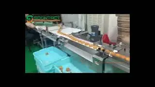 automatic moon cake tray flow pack line | Arrange moon cake from mess to one by one