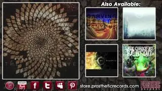 Scale The Summit The Collective (Track Two - Whales)