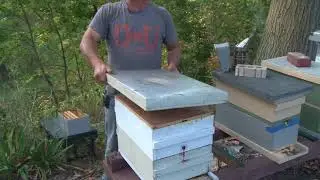 Jim Bobbs - I talked my Parents  into Beekeeping