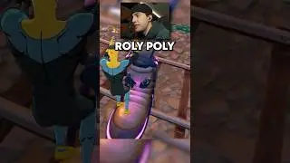Stay Away from the Roly Poly 😧