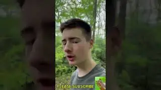 #amazons #cheapest #minnowtrap vs #normalprice minnow trap! #shorts #viral #viralvideo