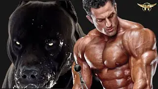 I AM A DOG - Bodybuilding Lifestyle Motivation
