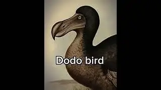 5 extinct animals that might come back 