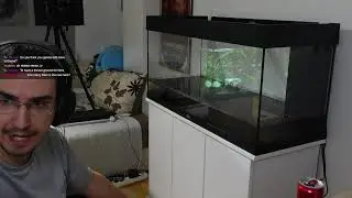 FIGURING OUT NEW RUS META, FFA TIER LIST & AQUARIUM SETUP STARTS!