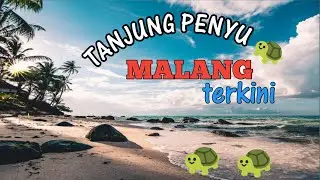 PANTAI TANJUNG PENYU 🐢 KABUPATEN MALANG TERBARU #kluyuran part 2 