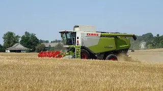 Polowanie na Bizony || Żniwa 2022 cz. 5 || Claas Lexion 630 ||