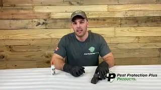 Mini-Rex Mouse Snap Trap-How to Use For Effective Mouse Pest Control