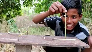The First Creative Unique Parrot Bird Trap On Board