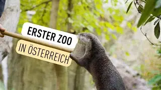 Tiergarten Sch&ouml;nbrunn erh&auml;lt internationale Tierschutz-Auszeichnung