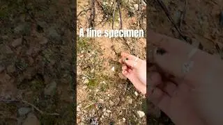 Мне очень нравятся здешние камни! #природа #поисккамней #камни