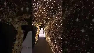 #huqqa #dubainewyear