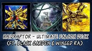 Ultimate Falcon ft. Black Garden and Winged Dragon RA deck 2016