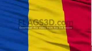 Waving national flag of Chad