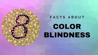 8 Facts About Color Blindness | Pilestone Color Blind Experts