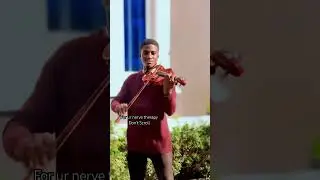 2026 sound therapy #nervetherapy #violintherapy #lorddoroski