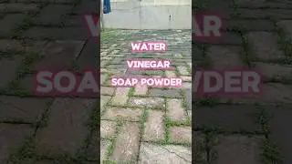weed problem??? grass on interlock tiles!!!