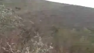 cocozao do costinha