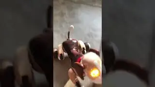 Zoomer Bentley