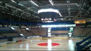 Vida Arena