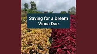 Saving for a Dream