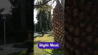 Green Paradise: Relaxing Nature Walk with Soothing Music 🌳